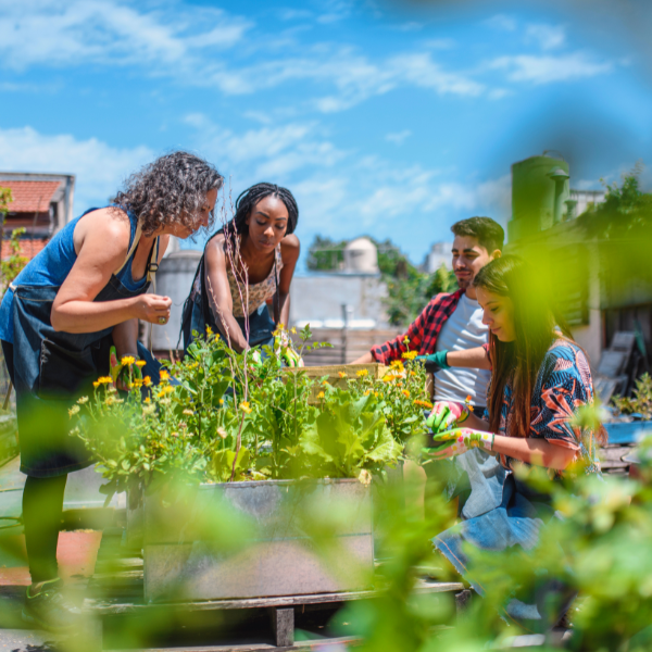 Community health and restorative practices